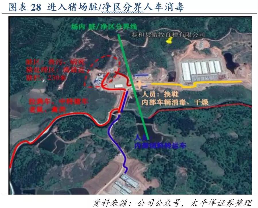 3118云顶集团(中国区)官方网站