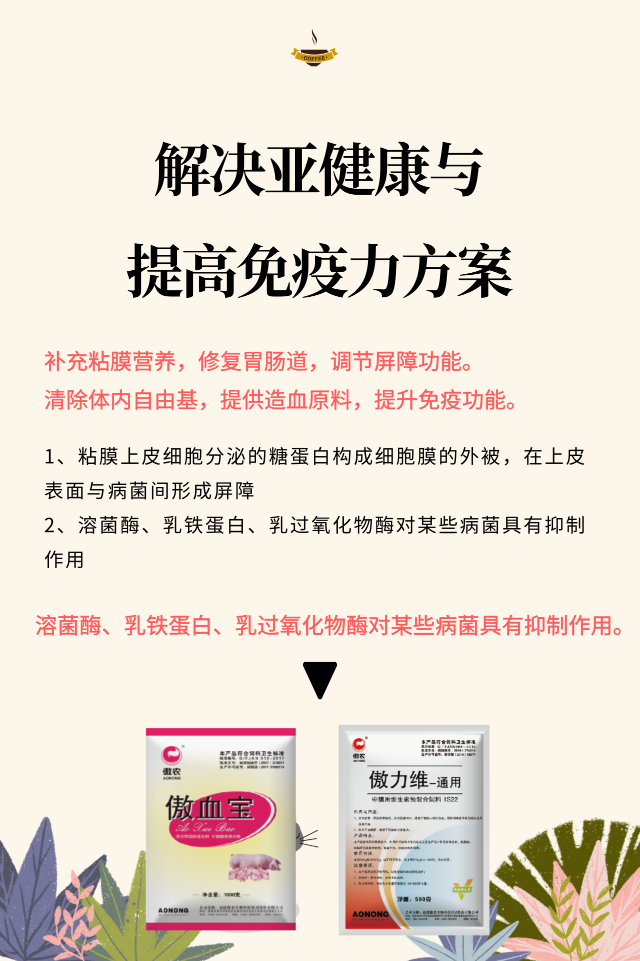3118云顶集团(中国区)官方网站