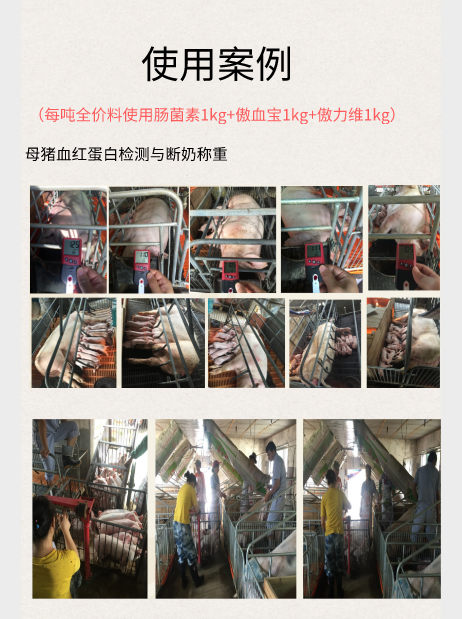 3118云顶集团(中国区)官方网站