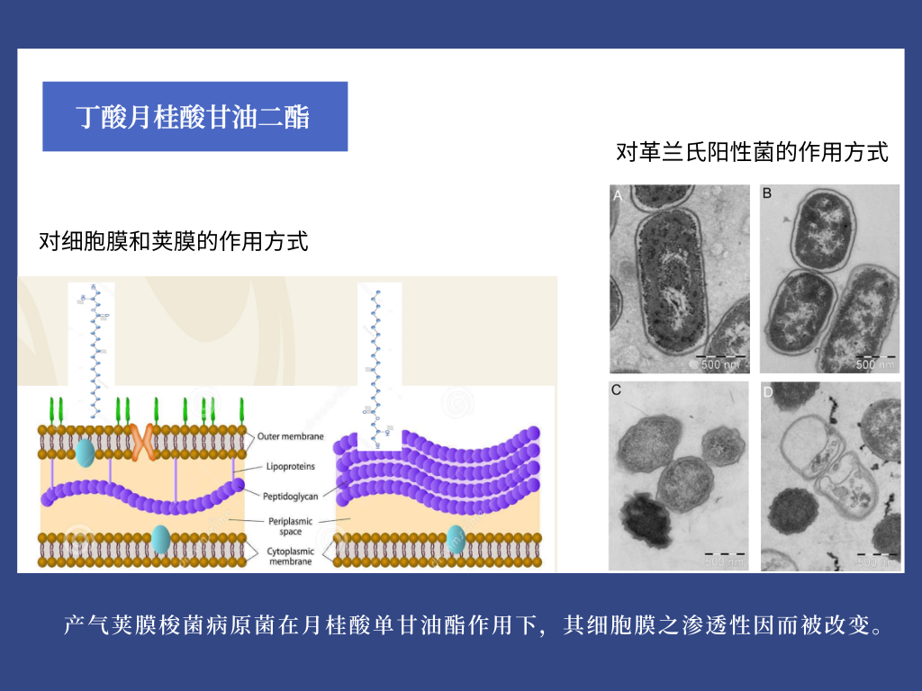 3118云顶集团(中国区)官方网站