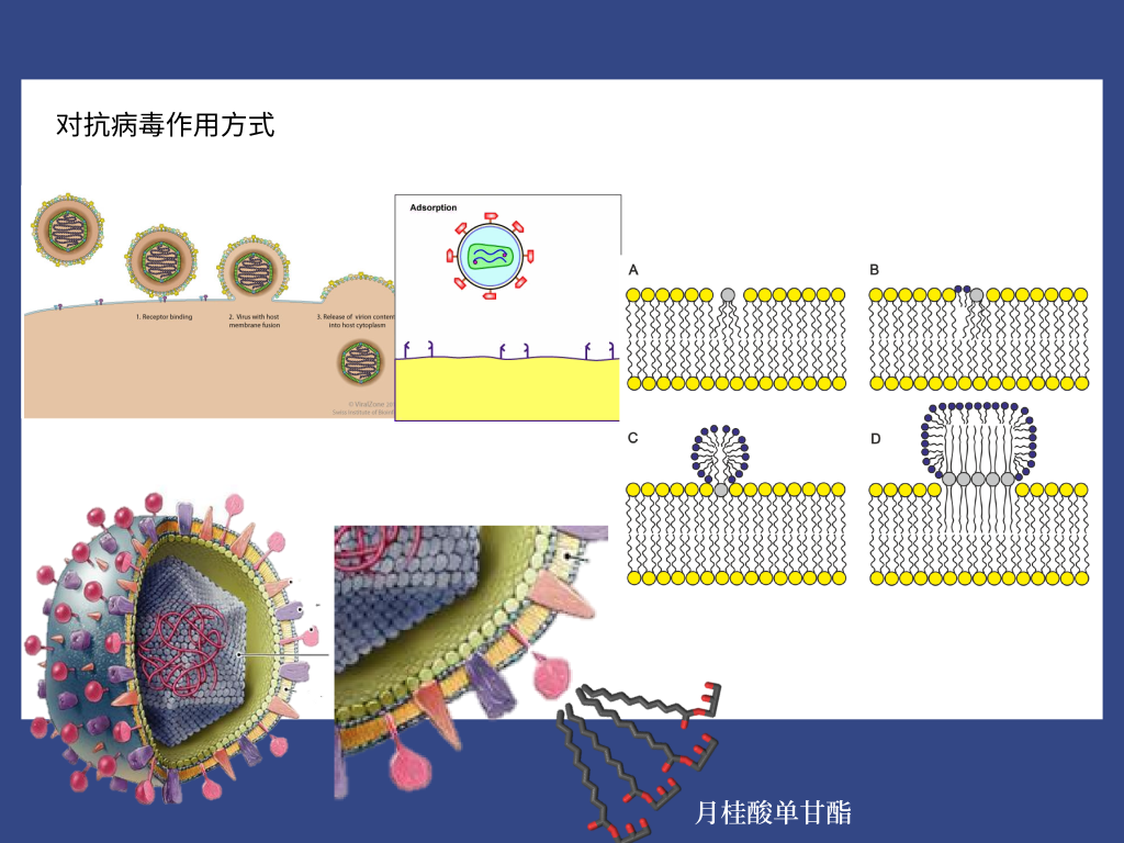 3118云顶集团(中国区)官方网站