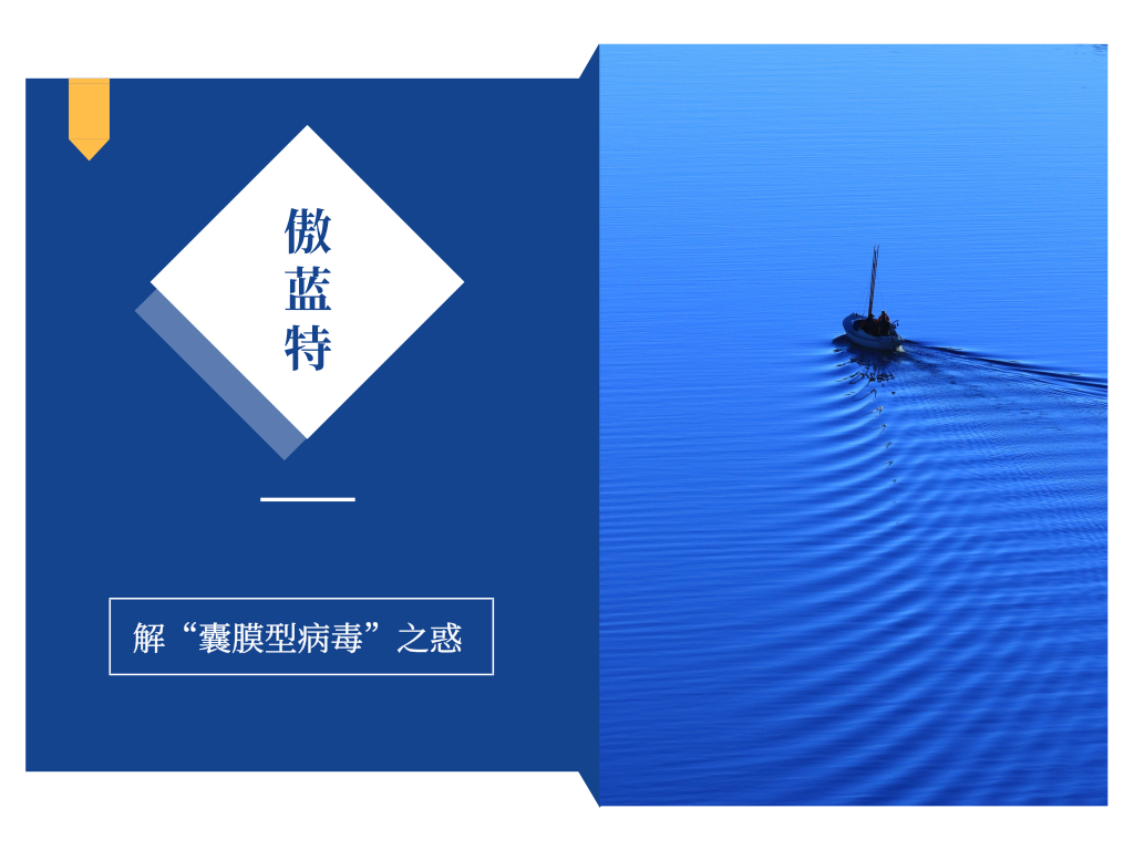 3118云顶集团(中国区)官方网站