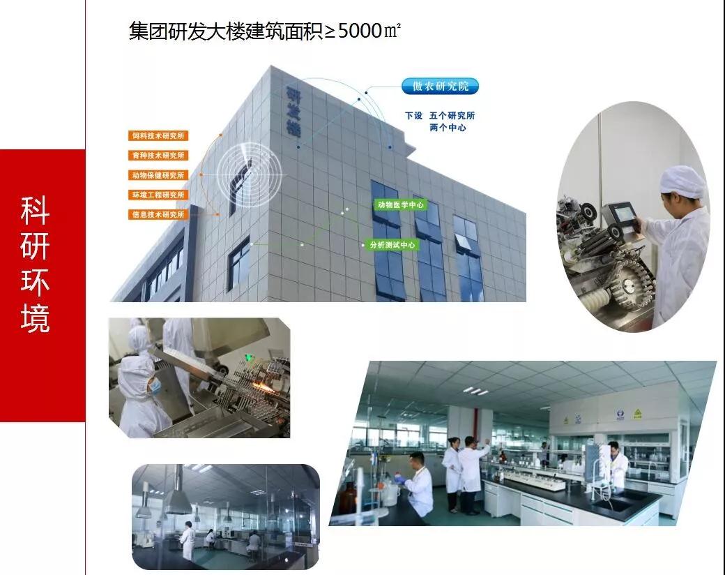 3118云顶集团(中国区)官方网站