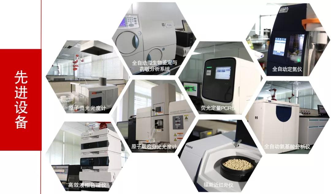3118云顶集团(中国区)官方网站