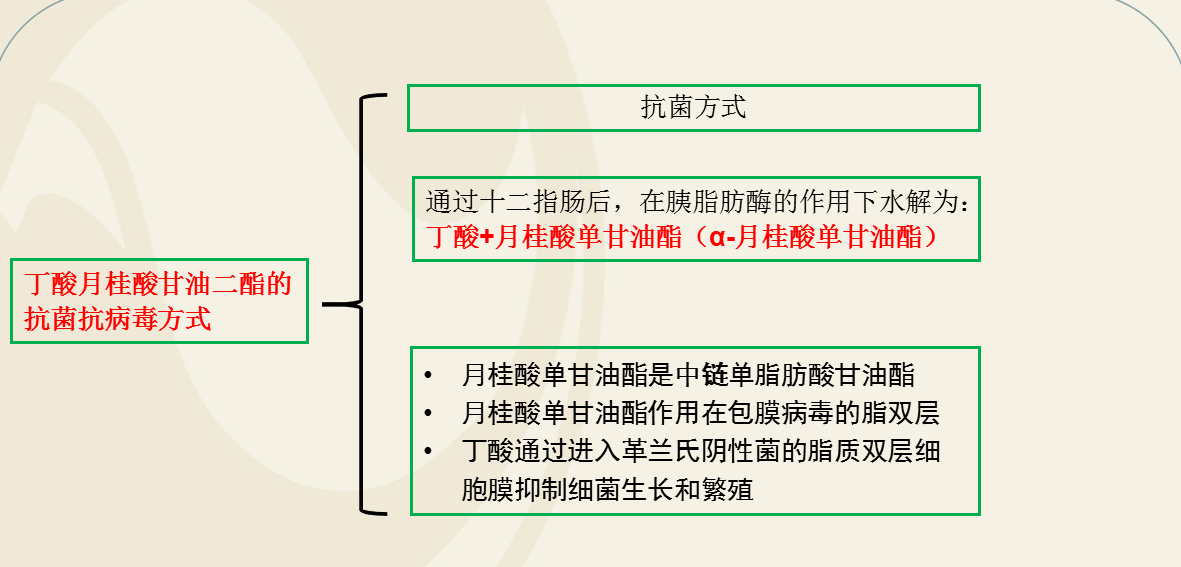 3118云顶集团(中国区)官方网站