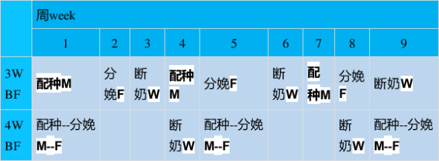 3118云顶集团(中国区)官方网站