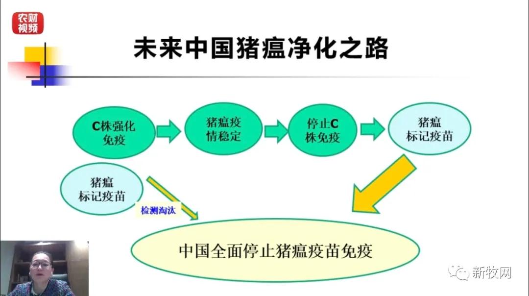 3118云顶集团(中国区)官方网站