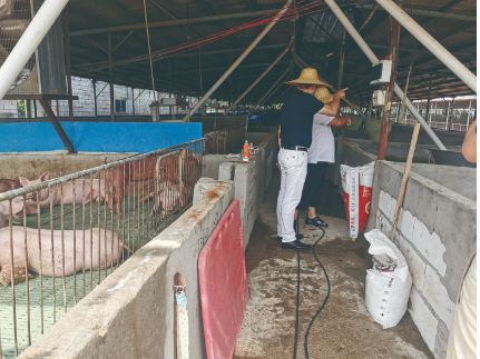 3118云顶集团(中国区)官方网站