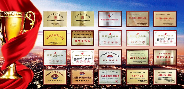 3118云顶集团(中国区)官方网站