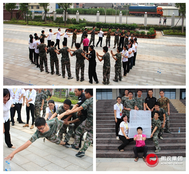 3118云顶集团(中国区)官方网站