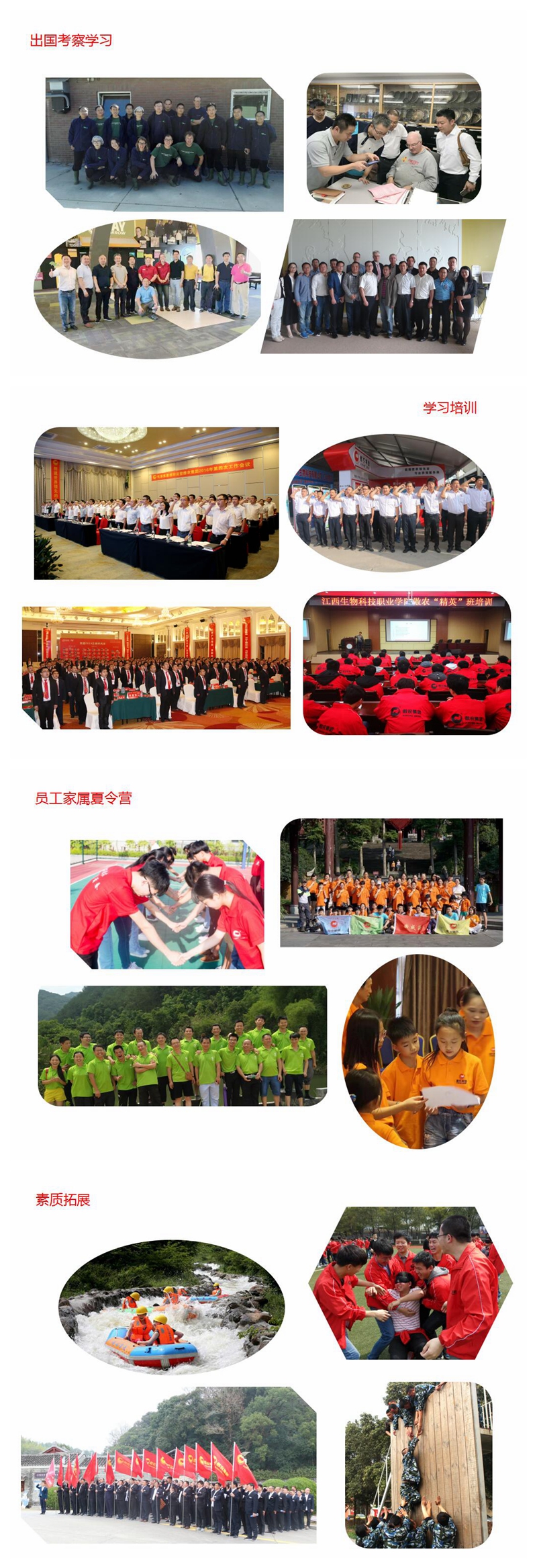 3118云顶集团(中国区)官方网站