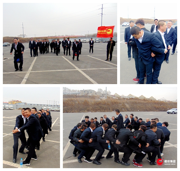 3118云顶集团(中国区)官方网站