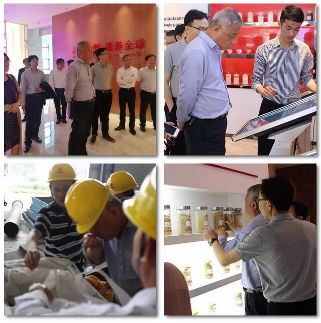 3118云顶集团(中国区)官方网站