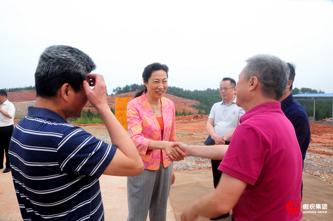 3118云顶集团(中国区)官方网站