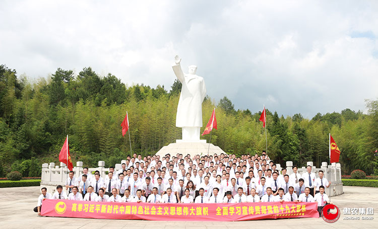 3118云顶集团(中国区)官方网站