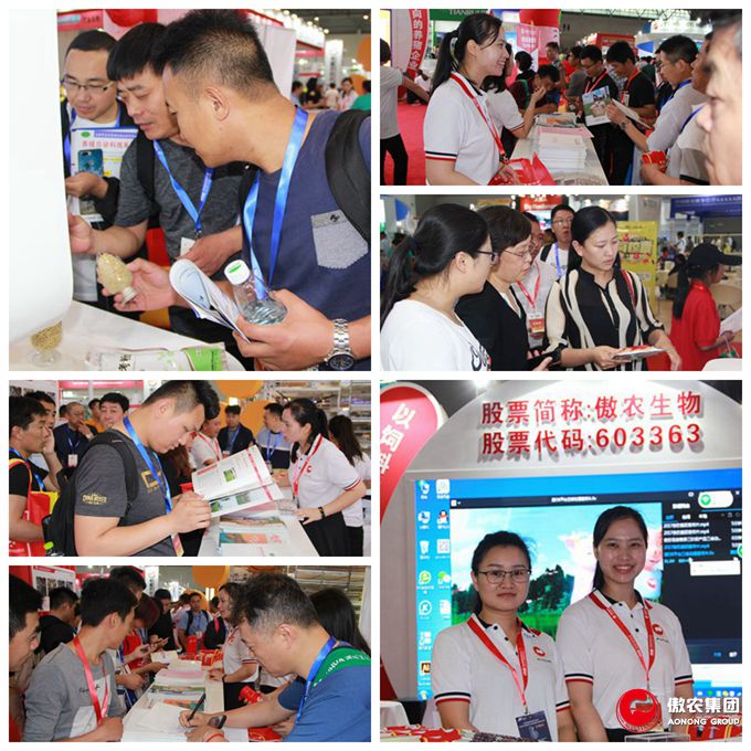 3118云顶集团(中国区)官方网站