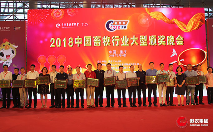 3118云顶集团(中国区)官方网站