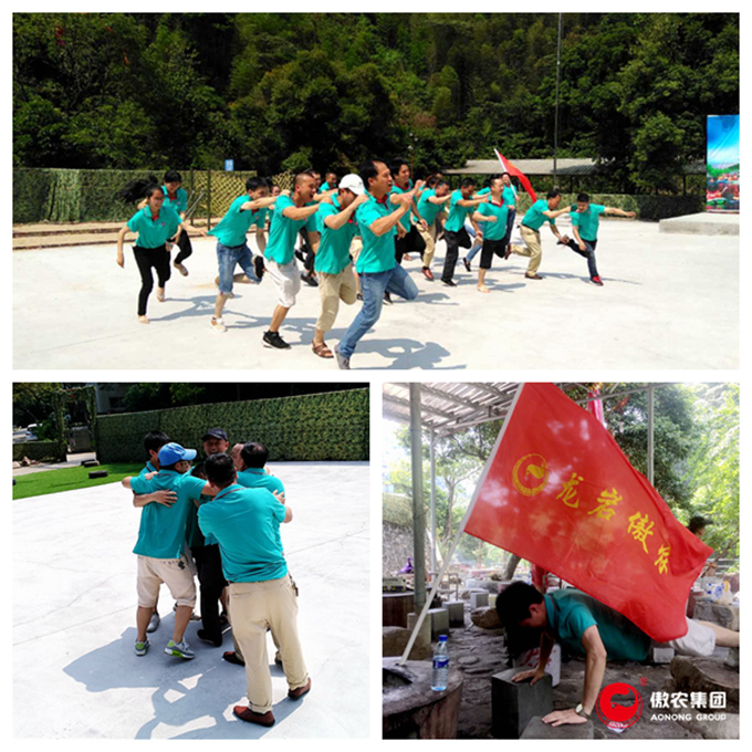 3118云顶集团(中国区)官方网站