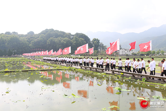 3118云顶集团(中国区)官方网站