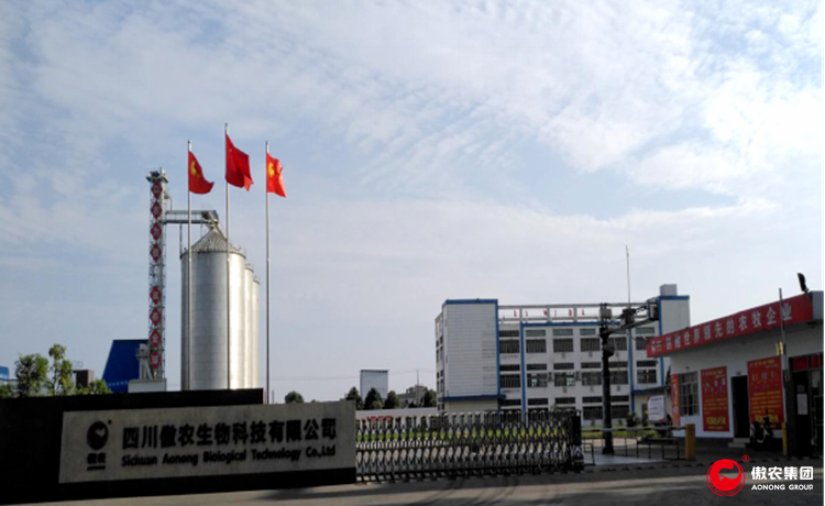 3118云顶集团(中国区)官方网站