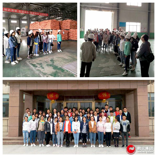 3118云顶集团(中国区)官方网站