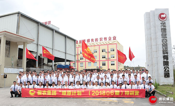 3118云顶集团(中国区)官方网站