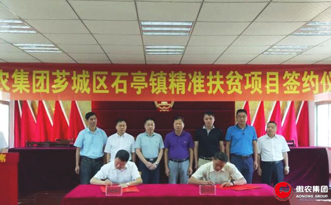 3118云顶集团(中国区)官方网站
