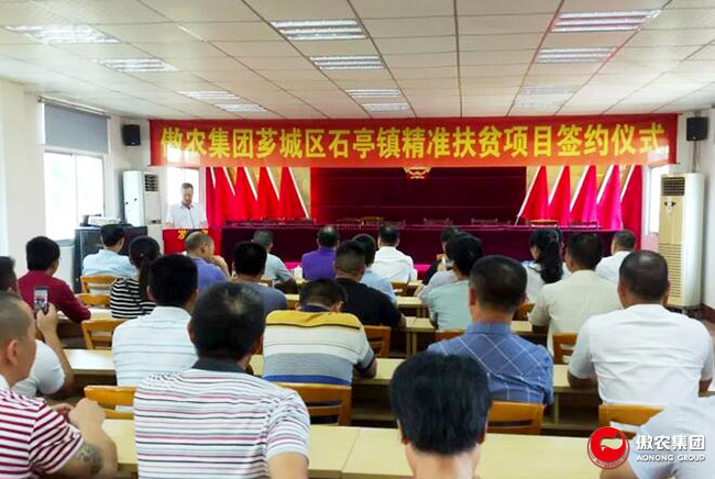 3118云顶集团(中国区)官方网站