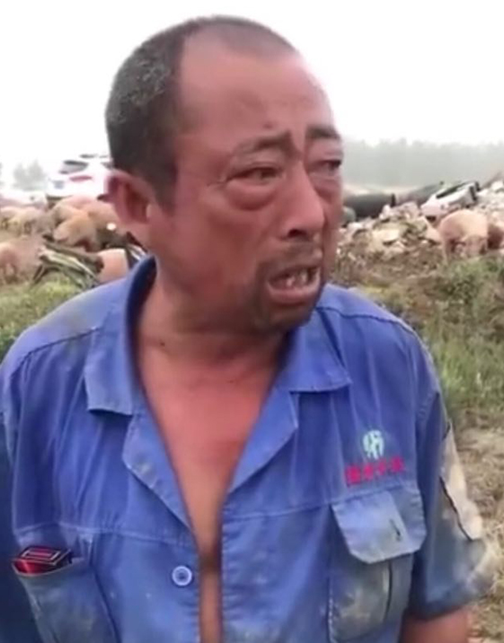 3118云顶集团(中国区)官方网站