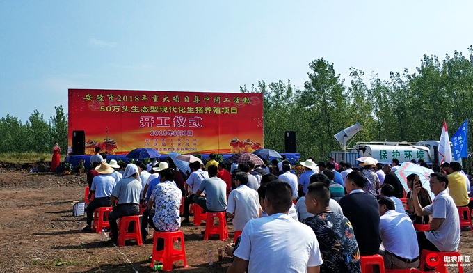 3118云顶集团(中国区)官方网站