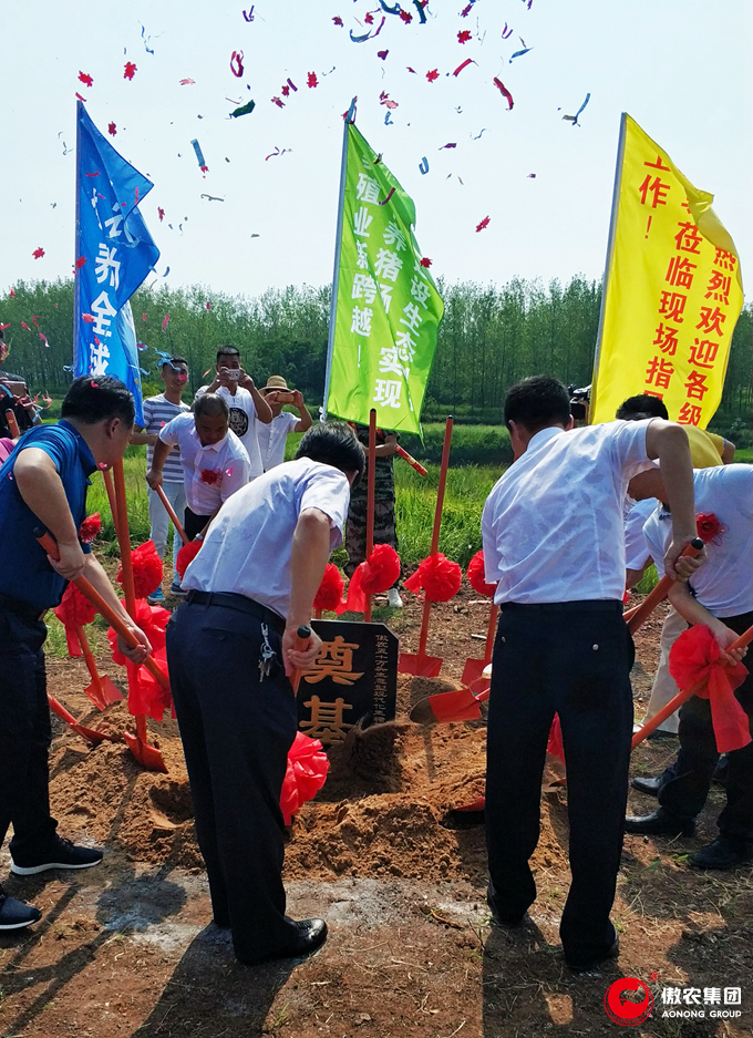 3118云顶集团(中国区)官方网站