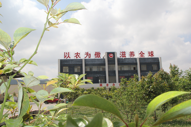 3118云顶集团(中国区)官方网站
