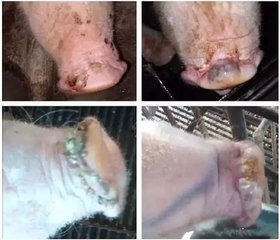 3118云顶集团(中国区)官方网站