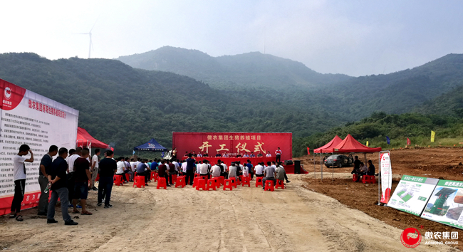 3118云顶集团(中国区)官方网站