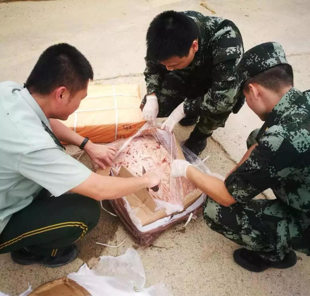 3118云顶集团(中国区)官方网站