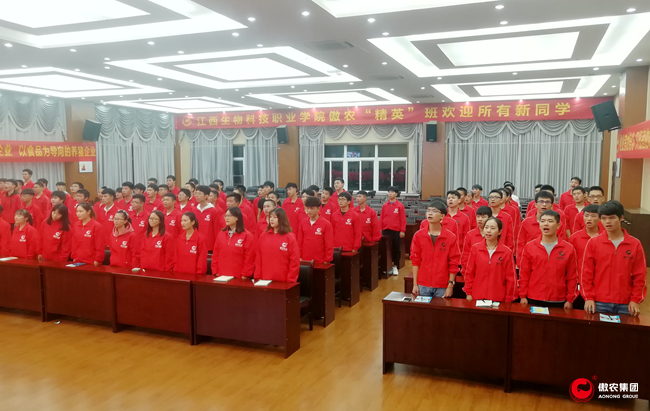 3118云顶集团(中国区)官方网站