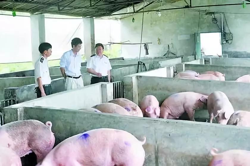 3118云顶集团(中国区)官方网站