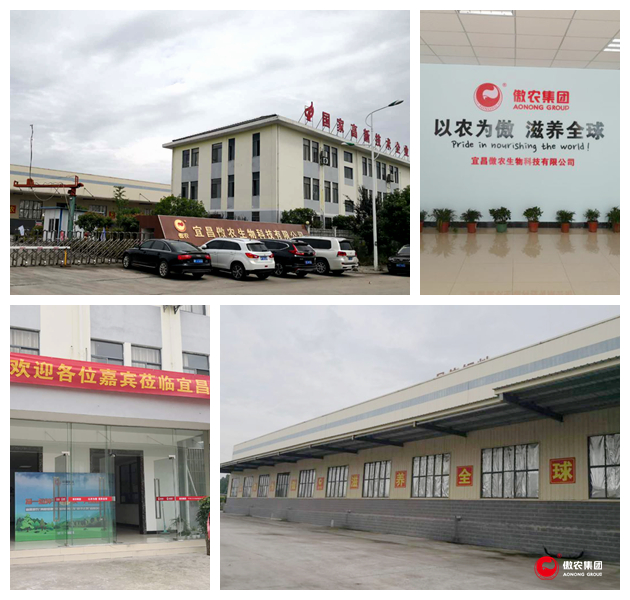3118云顶集团(中国区)官方网站