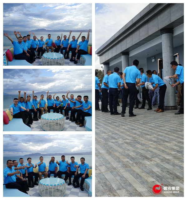 3118云顶集团(中国区)官方网站