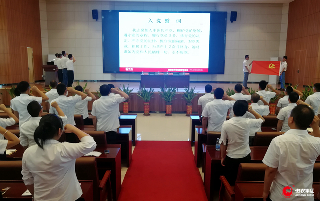 3118云顶集团(中国区)官方网站
