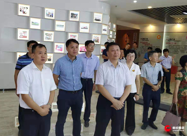 3118云顶集团(中国区)官方网站