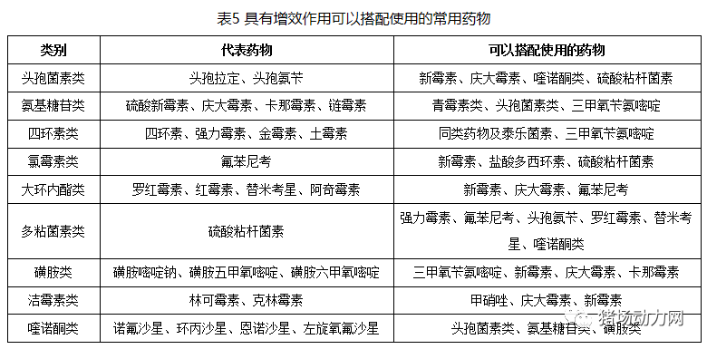 3118云顶集团(中国区)官方网站