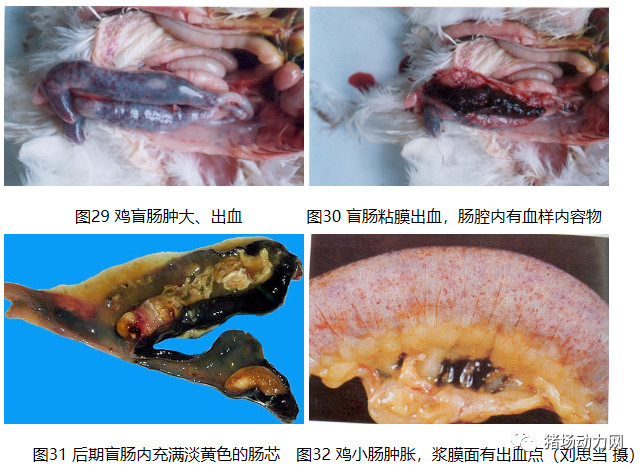 3118云顶集团(中国区)官方网站