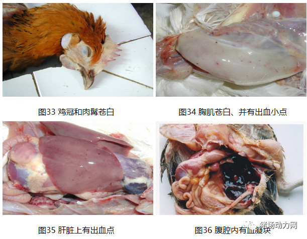 3118云顶集团(中国区)官方网站