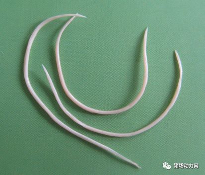 3118云顶集团(中国区)官方网站