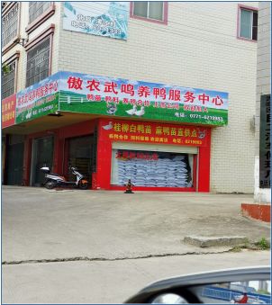 3118云顶集团(中国区)官方网站
