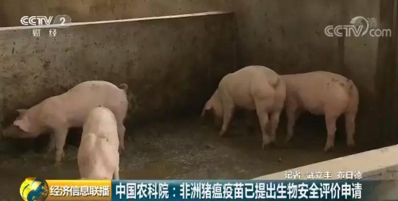 3118云顶集团(中国区)官方网站