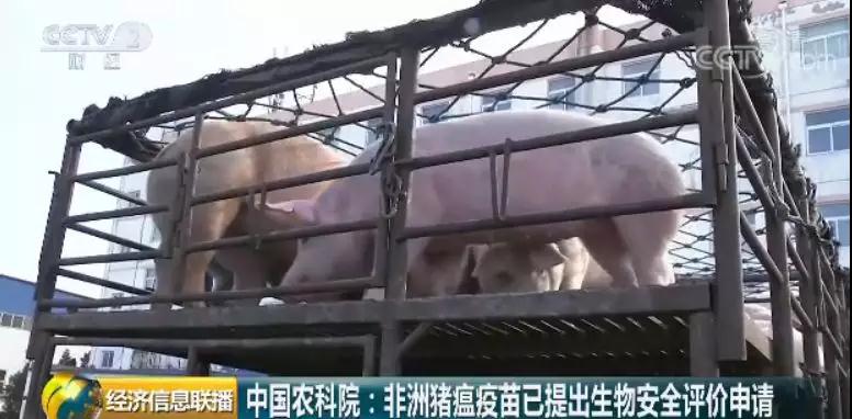 3118云顶集团(中国区)官方网站