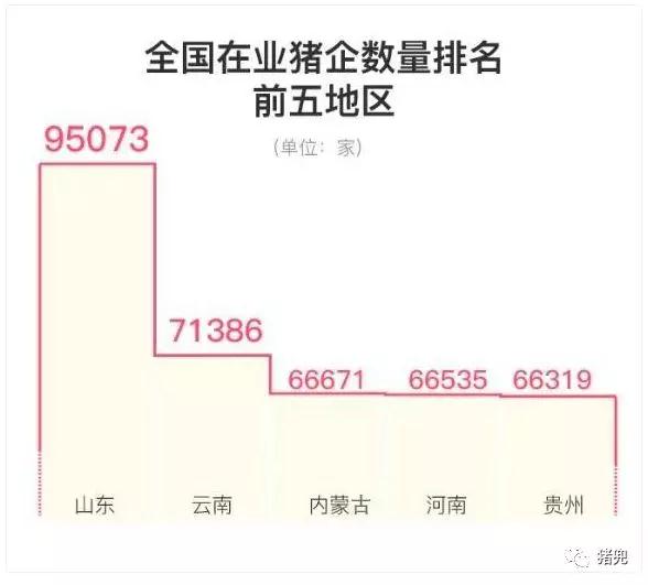 3118云顶集团(中国区)官方网站