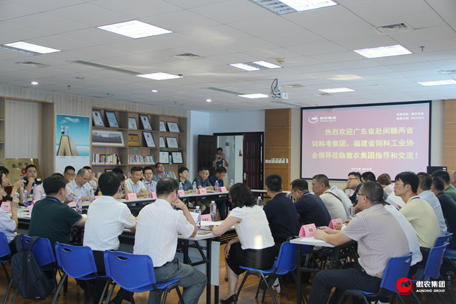 3118云顶集团(中国区)官方网站